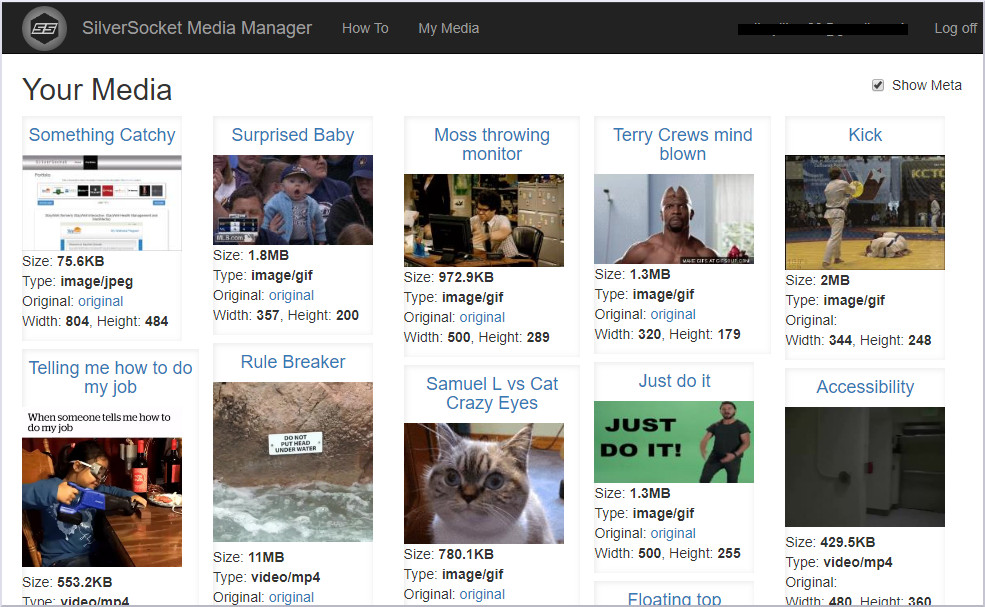 Media Manager Media Gallery